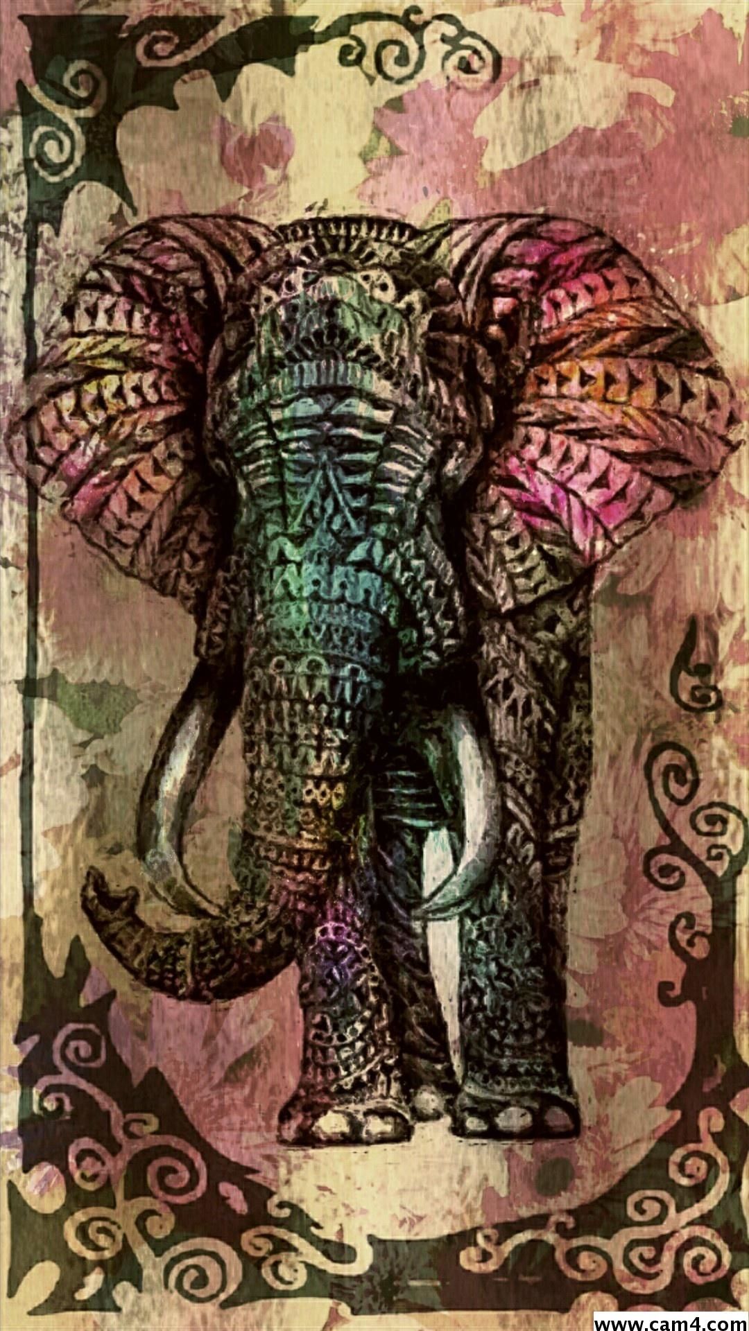 Detail Elephant Background Images Nomer 56