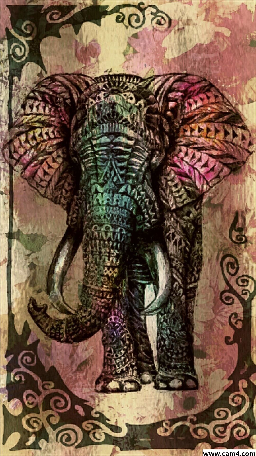 Detail Elephant Background Images Nomer 56
