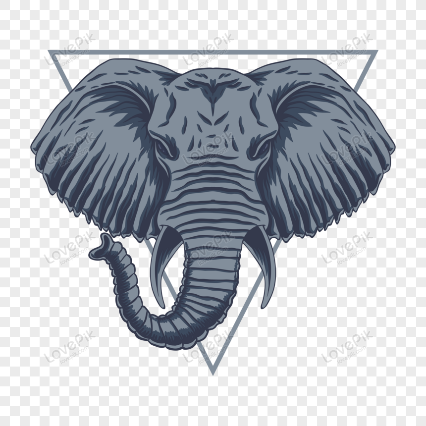 Detail Elephant Head Png Nomer 19