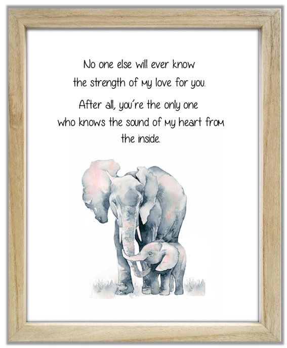 Detail Elephant Love Quotes Nomer 18
