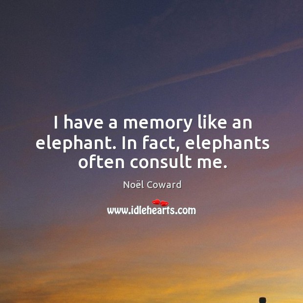 Detail Elephant Memory Quotes Nomer 37