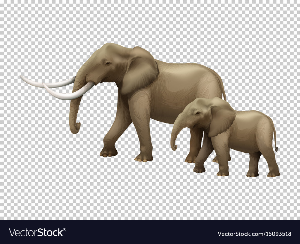 Detail Elephant Transparent Background Nomer 18