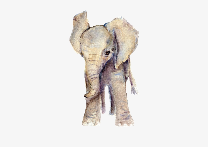 Detail Elephant Transparent Background Nomer 41