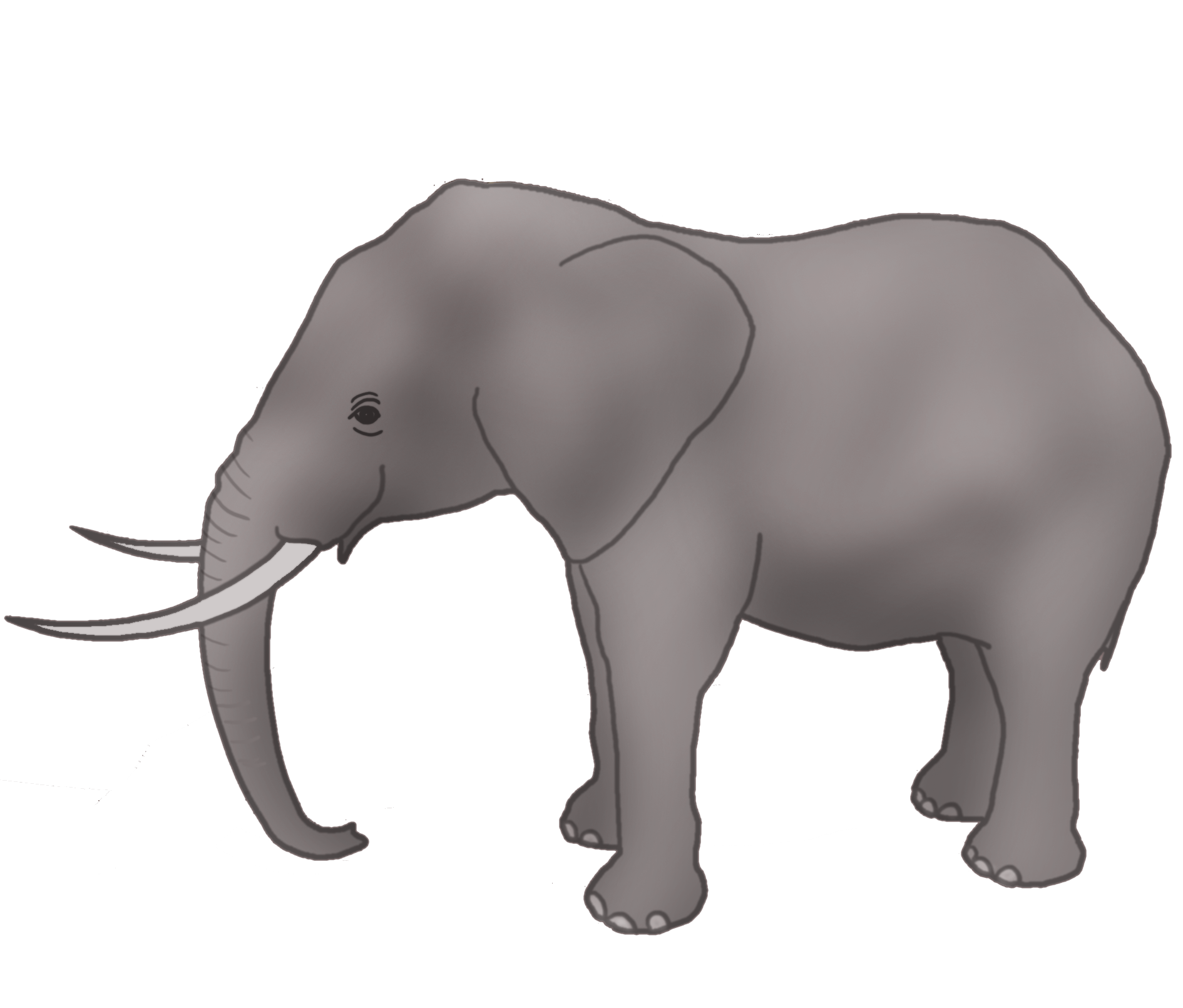 Detail Elephants Clipart Nomer 39