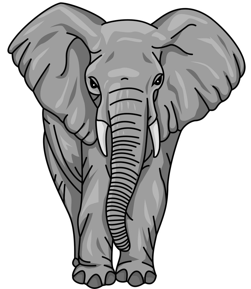 Detail Elephants Clipart Nomer 52