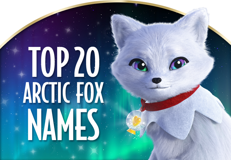 detail-elf-pets-arctic-fox-names-koleksi-nomer-3