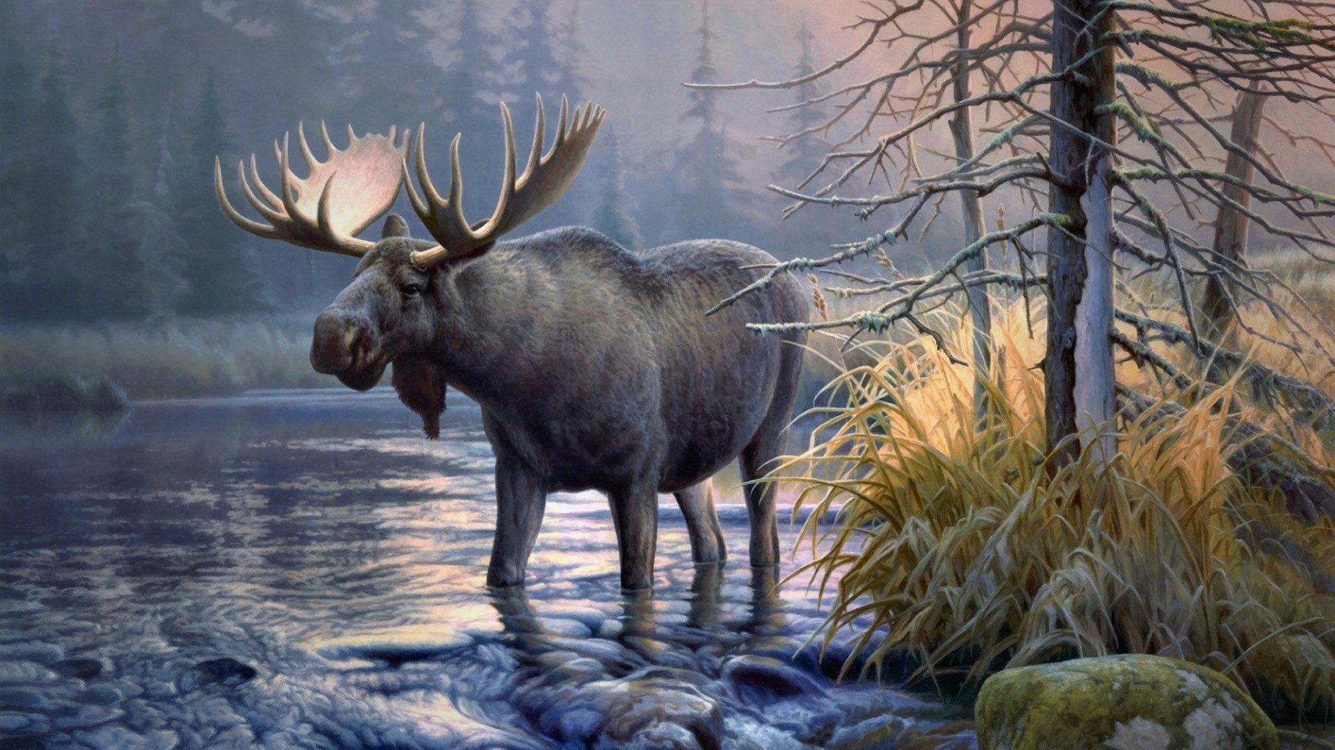 Detail Elk Backgrounds Nomer 13