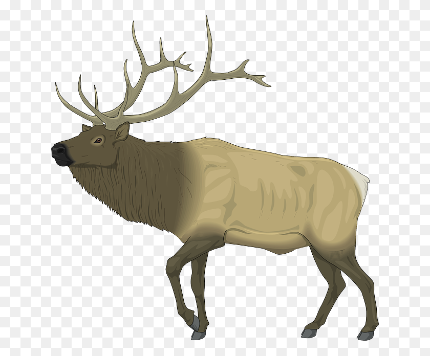 Detail Elk Download Nomer 12