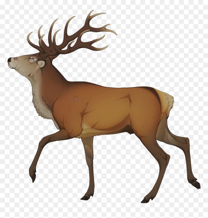 Detail Elk Download Nomer 23