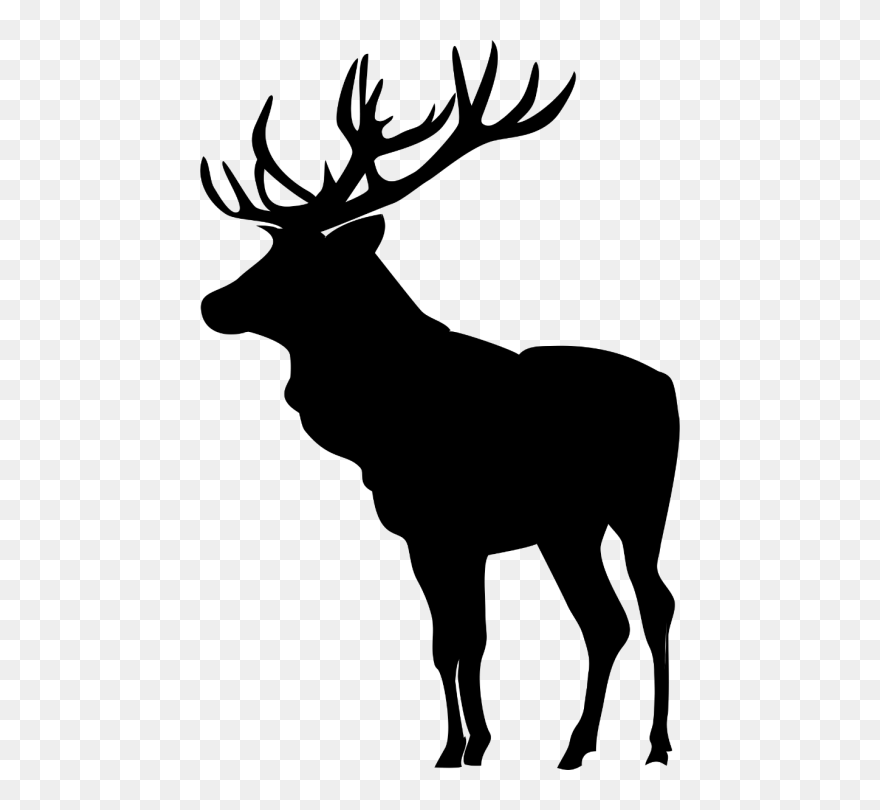 Detail Elk Download Nomer 41