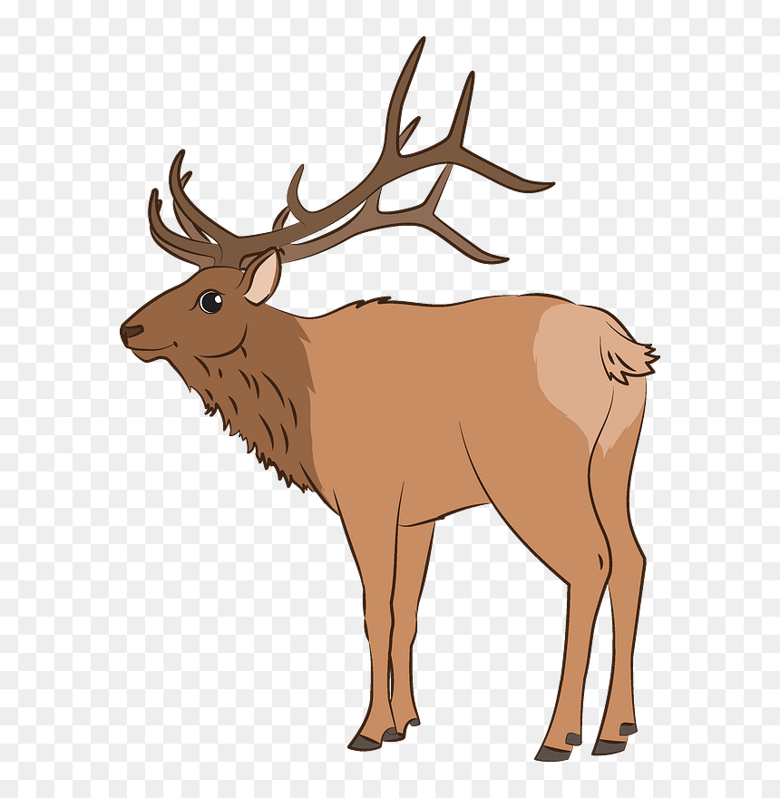 Detail Elk Download Nomer 58