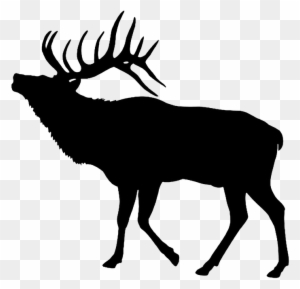 Detail Elk No Background Nomer 21