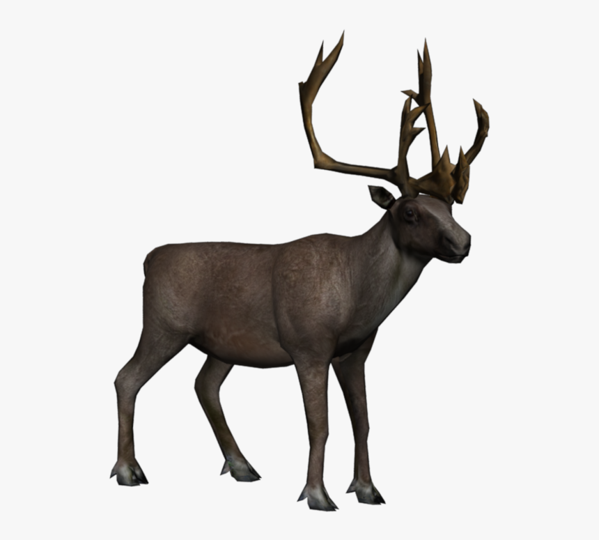 Detail Elk No Background Nomer 24