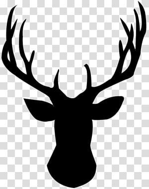 Detail Elk No Background Nomer 27