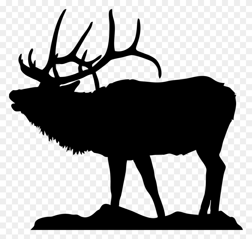 Detail Elk No Background Nomer 29