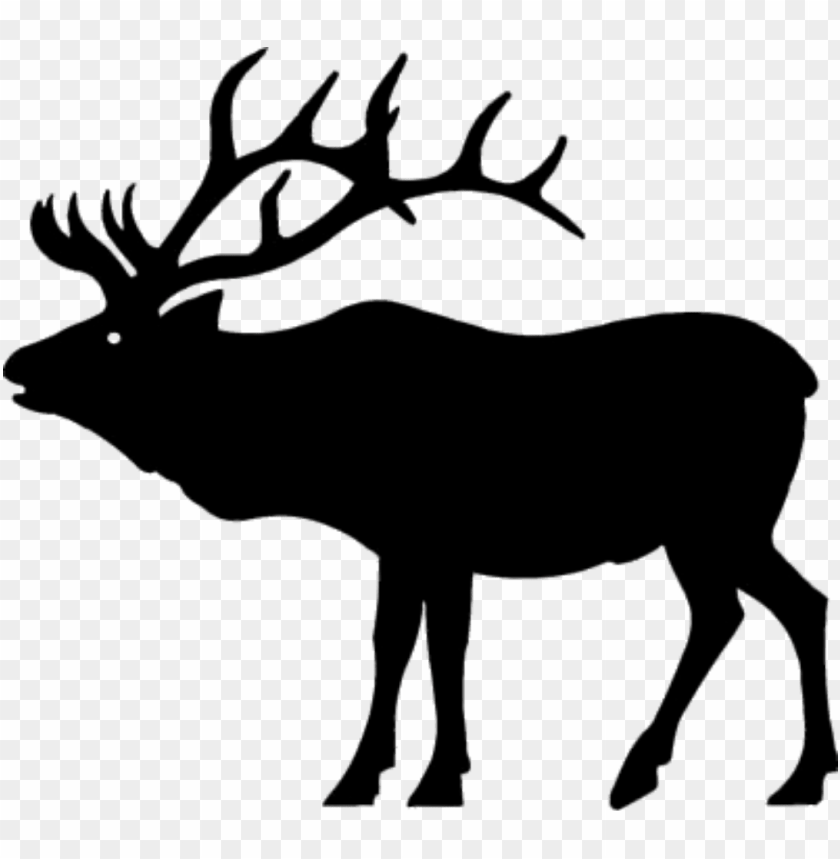 Detail Elk No Background Nomer 33