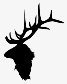 Detail Elk No Background Nomer 35
