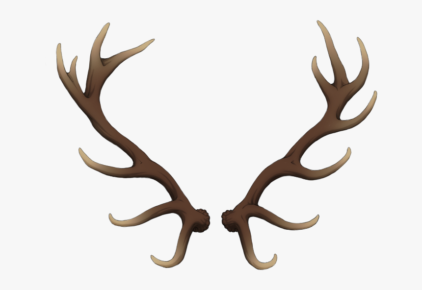 Detail Elk No Background Nomer 37