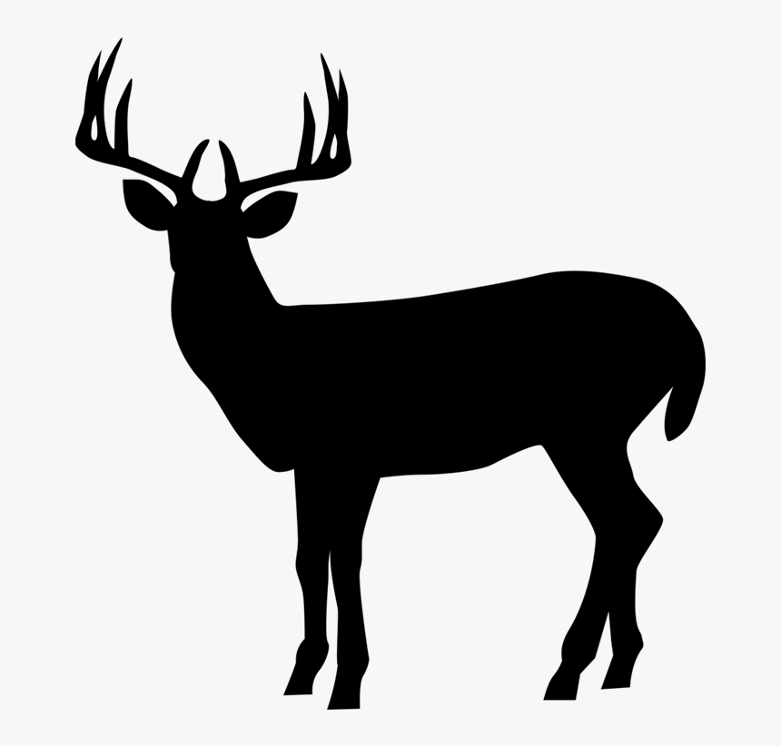 Detail Elk No Background Nomer 38