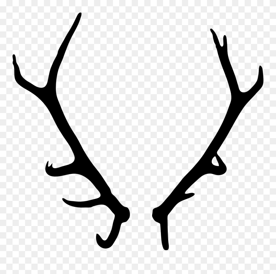 Detail Elk No Background Nomer 39