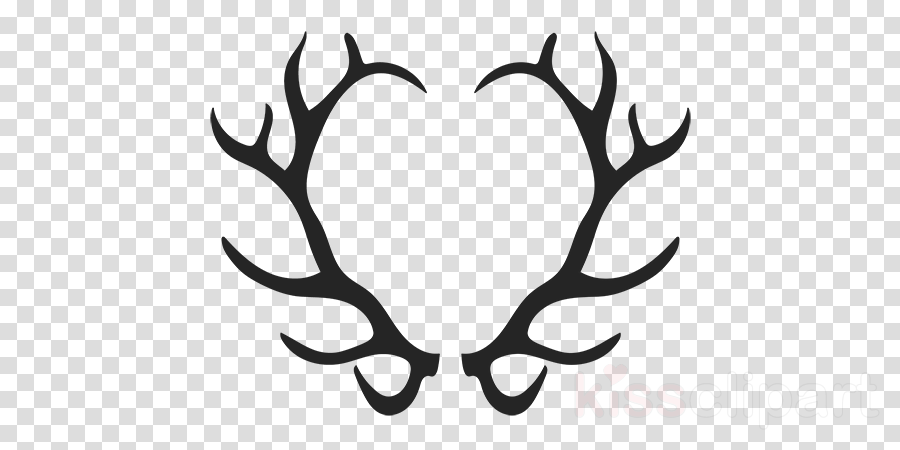 Detail Elk No Background Nomer 42