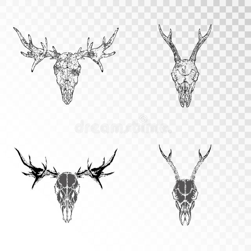 Detail Elk No Background Nomer 43