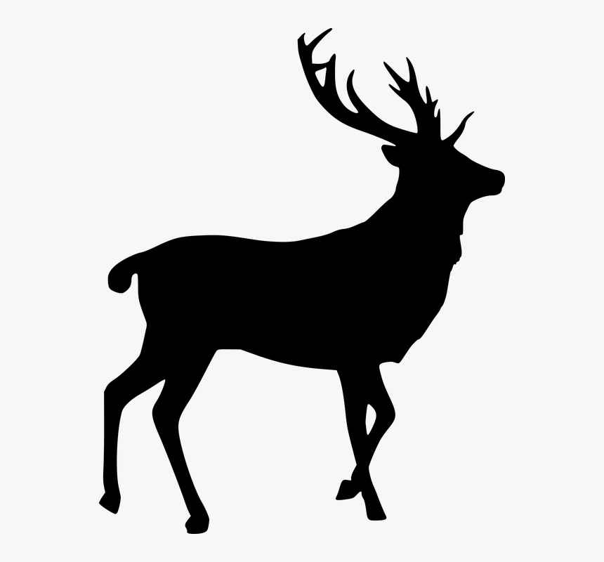 Detail Elk No Background Nomer 46