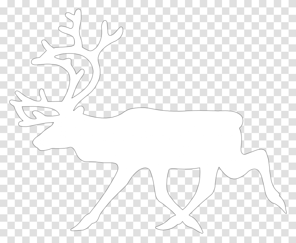 Detail Elk No Background Nomer 51