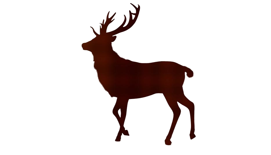 Detail Elk No Background Nomer 53