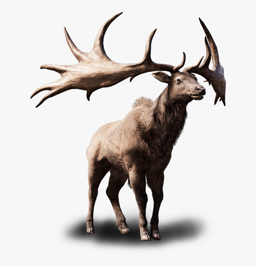 Detail Elk No Background Nomer 7