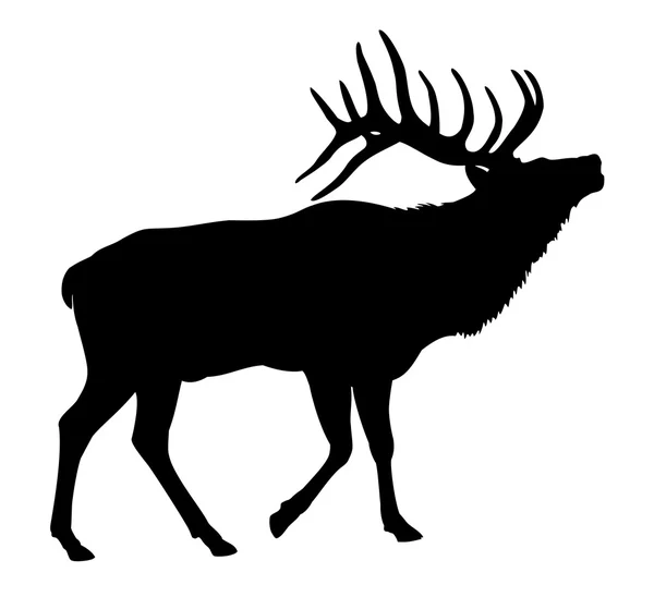 Detail Elk Pictures Free Nomer 29