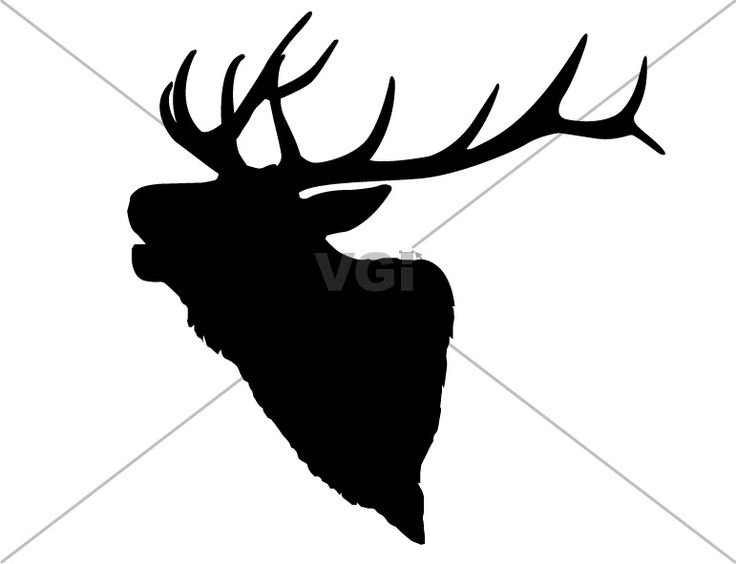 Detail Elk Pictures Free Nomer 40