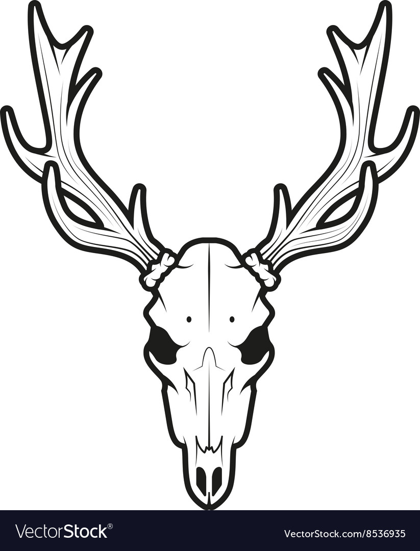 Detail Elk Skull Vector Nomer 23