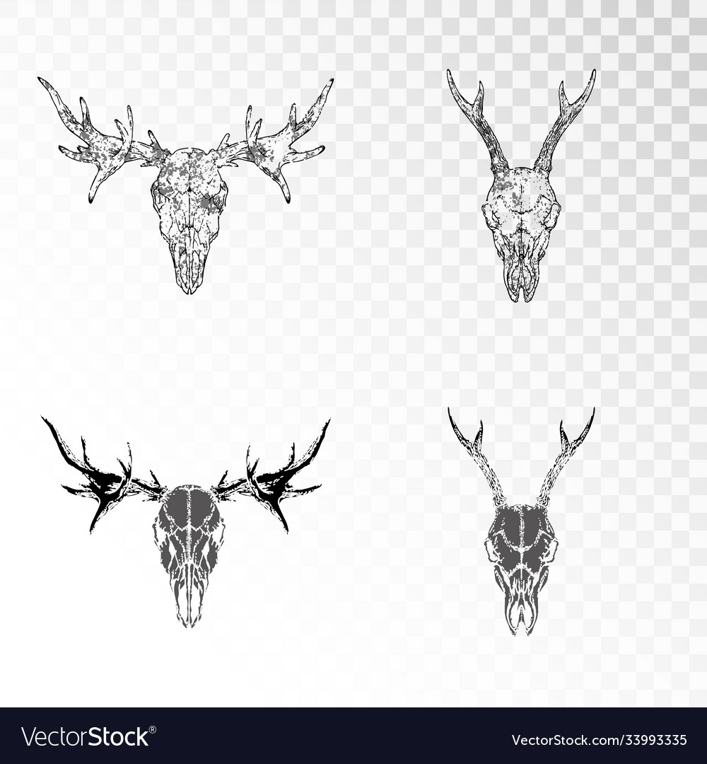 Detail Elk Skull Vector Nomer 31