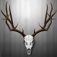 Detail Elk Skull Vector Nomer 10