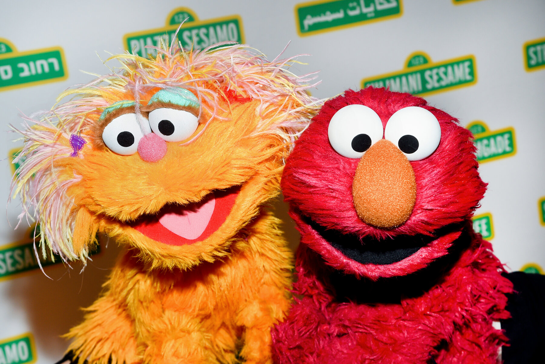 Detail Elmo Nomer 11