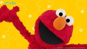 Detail Elmo Backgrounds Nomer 13