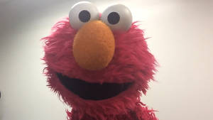 Detail Elmo Backgrounds Nomer 23