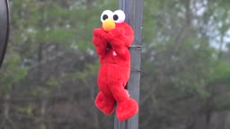 Detail Elmo Dancing On The Moon Meme Nomer 35