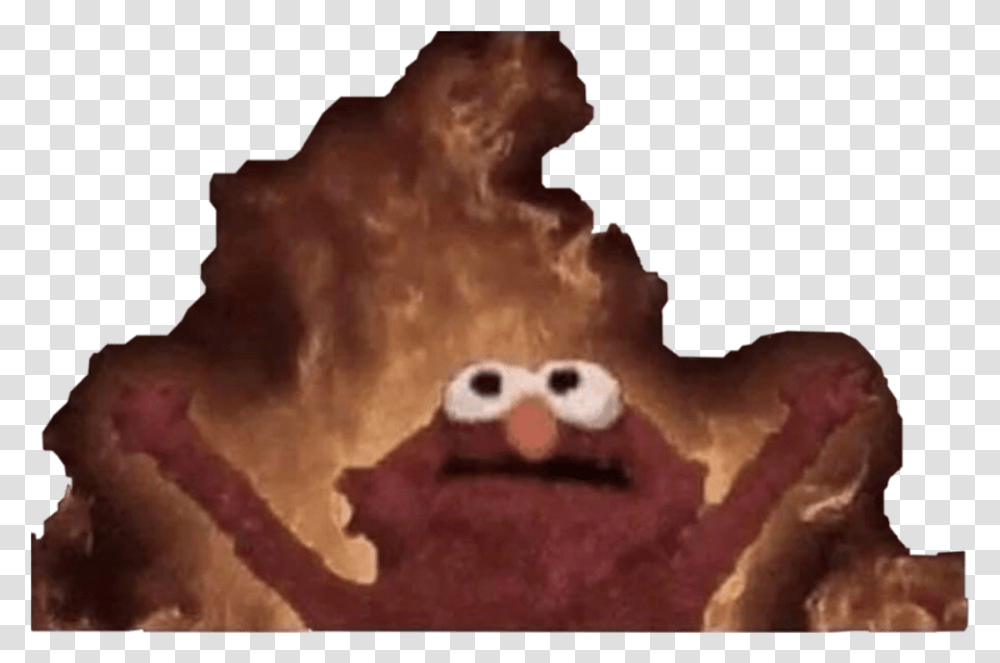 Detail Elmo On Fire Meme Nomer 50