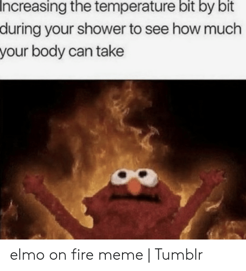 Detail Elmo On Fire Meme Nomer 55