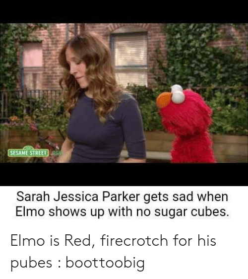 Detail Elmo Sugar Meme Nomer 34