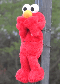 Detail Elmo Vs Jet Engine Nomer 15