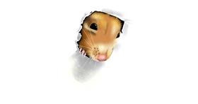 Detail Hamster Gemalt Nomer 21