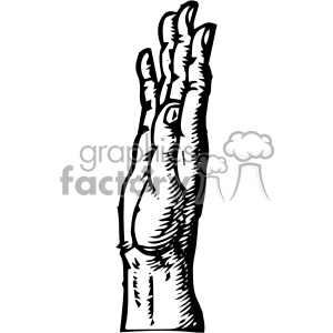 Detail Hand Anatomie Nomer 14