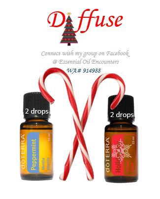 Detail Holiday Joy Doterra Nomer 3