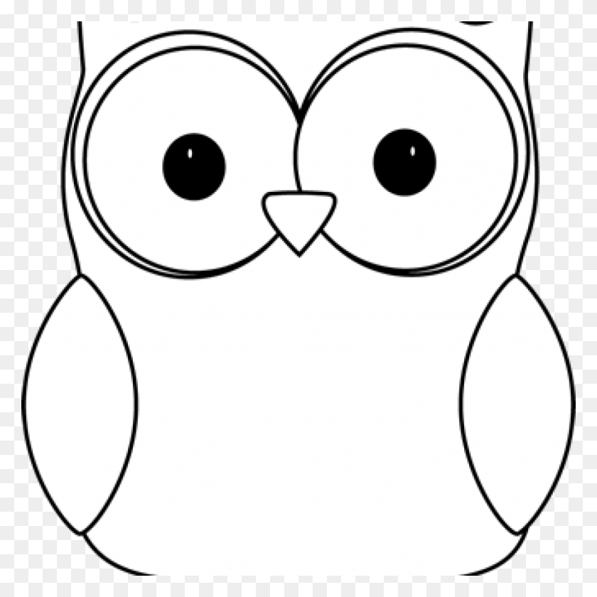 Detail Owl Illustration Black And White Nomer 6