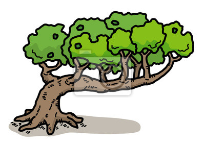 Detail Baum Gezeichnet Nomer 17