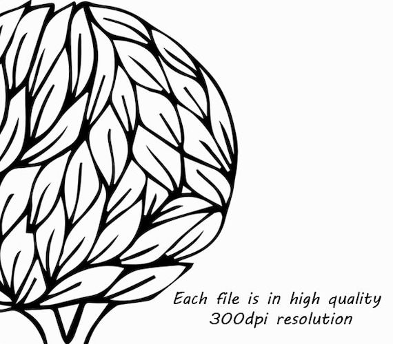 Detail Baum Gezeichnet Nomer 20