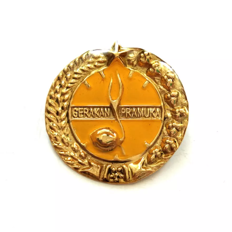 Detail Emblem Pramuka Nomer 9